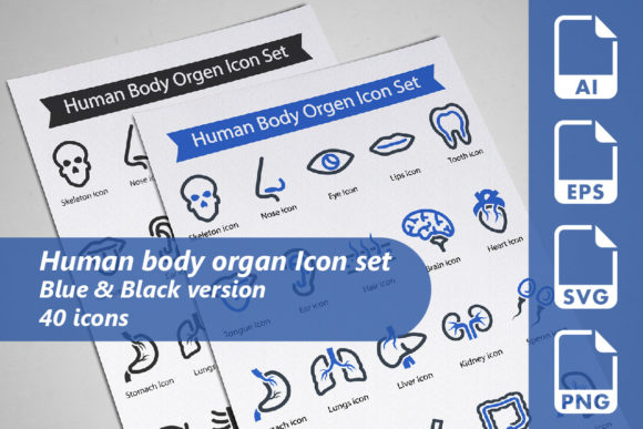 Human Body Organ Icon Set: Graphics and Icons for Branding